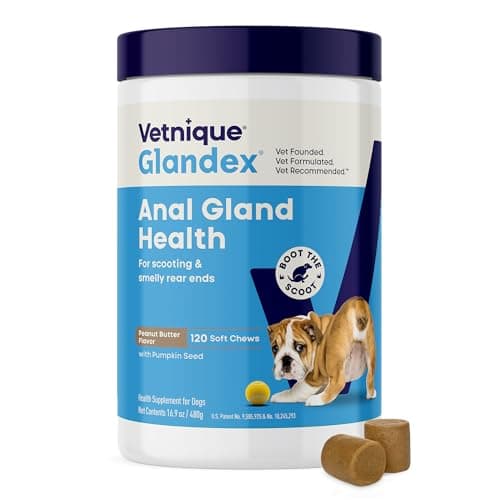 Vetnique Glandex Anal Gland Soft Chew Treats with Pumpkin for Dogs Digestive Enzymes, Probiotics Fiber Supplement for Dogs Boot The Scoot (Peanut Butter Chews, 120 Count)