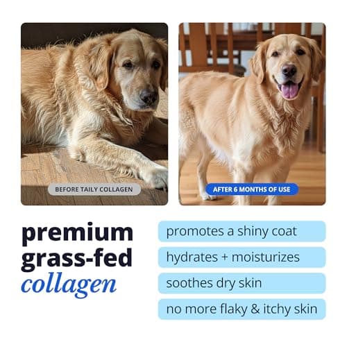 Taily Liquid Collagen for Dogs Skin and Coat Supplement, Cats | Taily Liquid Premium Grass-fed Collagen | Itch Relief for Dogs with Allergies, Biotin, Vitamin C and Hyaluronic Acid | Made in USA