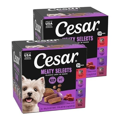 Cesar Classic Loaf en Sauce : Mon Test et Avis Complet