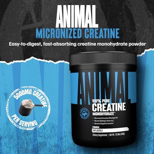 Animal Creatine Monohydrate Powder — Micronized for Muscle Recovery, Cellular Energy, and Daily Wellness — for Men and Women — Unflavored 300g