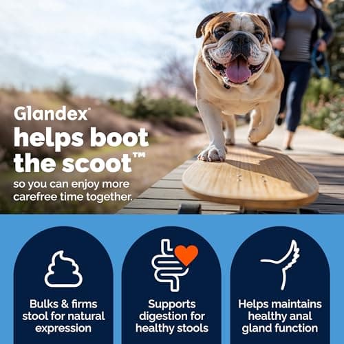 Vetnique Glandex Anal Gland Soft Chew Treats with Pumpkin for Dogs Digestive Enzymes, Probiotics Fiber Supplement for Dogs Boot The Scoot (Peanut Butter Chews, 120 Count)