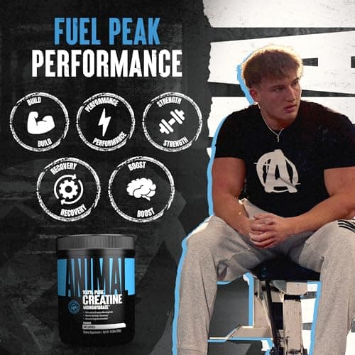 Animal Creatine Monohydrate Powder — Micronized for Muscle Recovery, Cellular Energy, and Daily Wellness — for Men and Women — Unflavored 300g